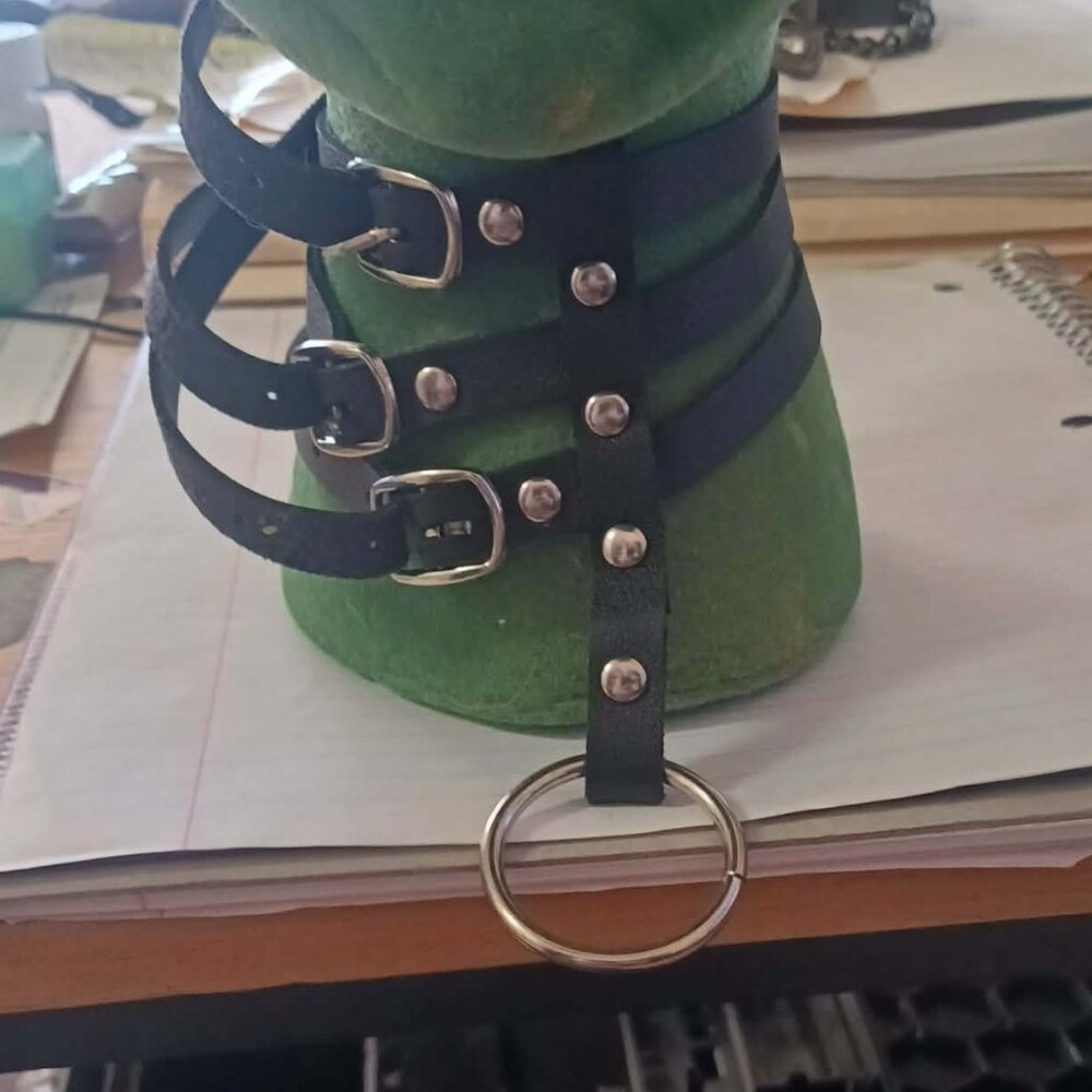 3 strap dog collar with o-ring lease clip